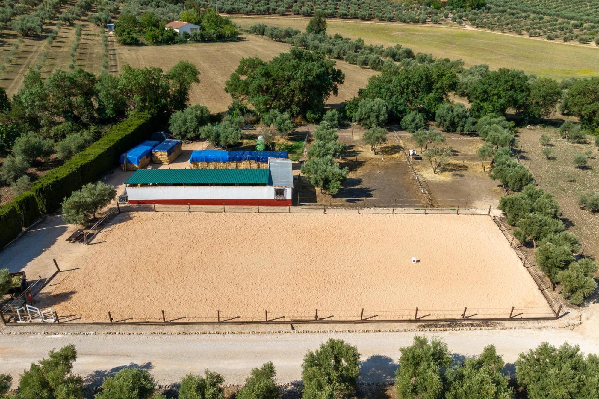 Pasa Fina, Luxury Holiday Retreat Villanueva del Trabuco Buitenkant foto