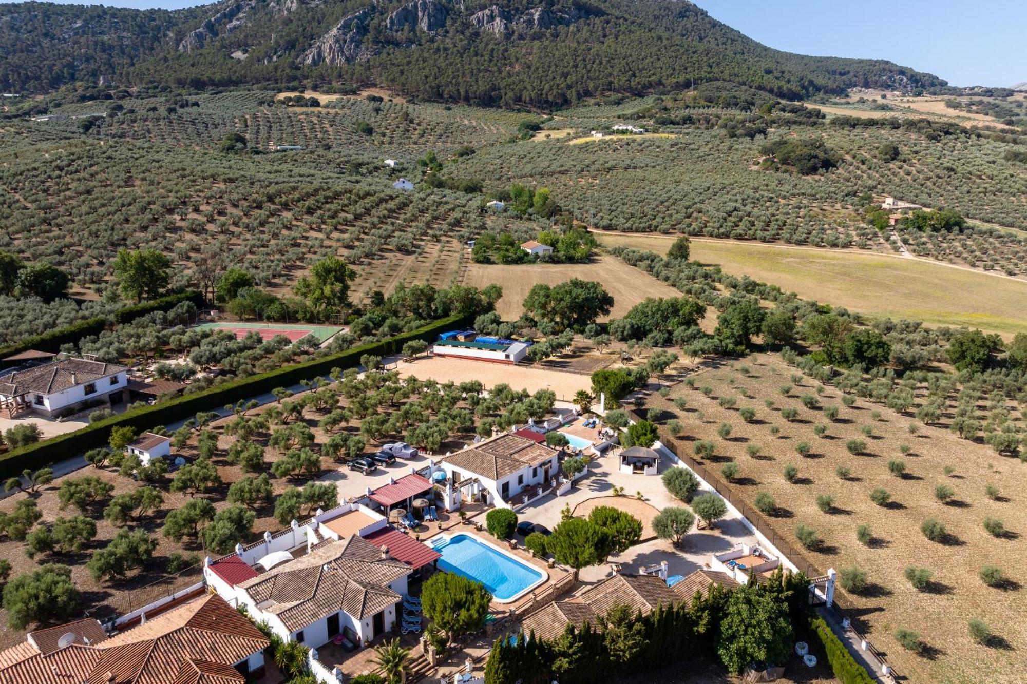 Pasa Fina, Luxury Holiday Retreat Villanueva del Trabuco Buitenkant foto